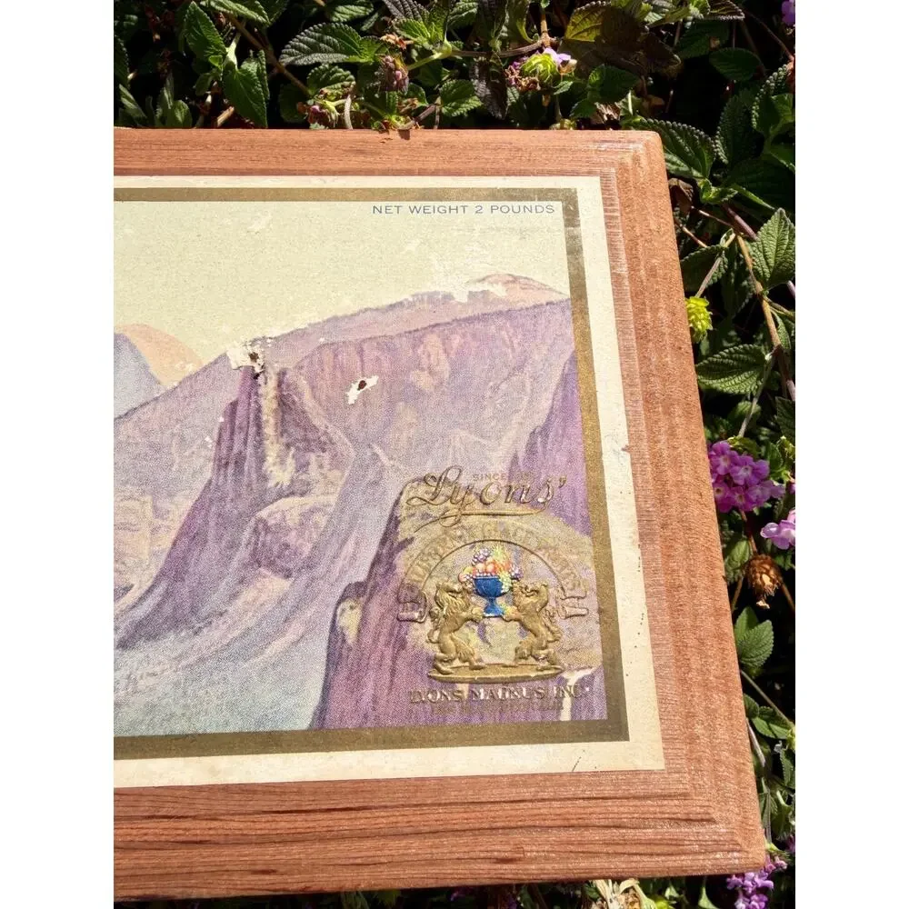 1930s Vintage Lyons California Glace Fruit Wood Box Yosemite Bear Advertising